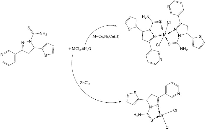 Review on Preparation, Coordination and Clinical Chemistry of 2-Pyrazoline Derivatives: Synthesis and Characterization of 5-(thiophen-2-yl)-3-(pyridin-3-yl)-4,5-Dihydro-1<em>H</em>-Pyrazole-1-Carbothioamide and their Co(II), Ni(II), Cu(II) and Zn(II) Complexes 