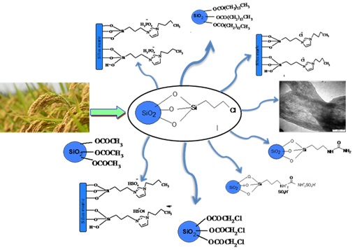 Recent use of rice husk ash silica as an efficient solid catalyst: a review 