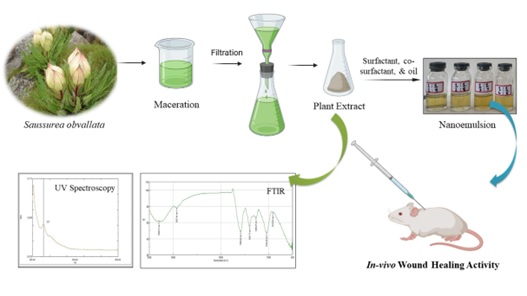 Green Chemistry Extraction, Formulation, Development, and Evaluation of Saussurea Obvallata Nanoemulsion-Based Gel for Wound Healing Potential 