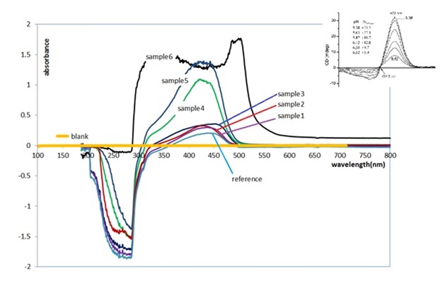 Extraction of Curcumin by Ultrasonic Waves from Turmeric Rhizome as a Scaffold in 4D Prosthesis 