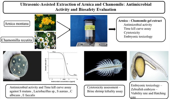 Ultrasonic Extraction of <em>Arnica&ndash;Chamomile</em> Gel: Antimicrobial and Safety Evaluation 