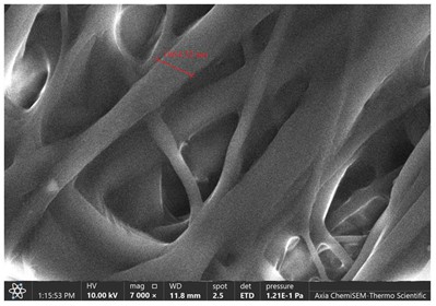 Green Preparation of Diclofenac Potassium via Electrospun Nanofibers Based on Synthetic Polymer 