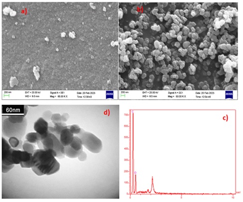 Evaluation of Activity Coal Fly Ash as Low Cost an Adsorbent for the Removal of Pollutants: Equilibrium and Isotherm Studies of Pharmaceutical Compounds