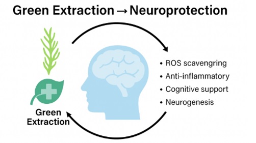 Greener Extraction Techniques and Neuroprotective Compounds from Marine Algae: A New Wave in Neuropharmacology 